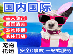 鸡西兴凯湖机场邮寄国际宠物托运 【国